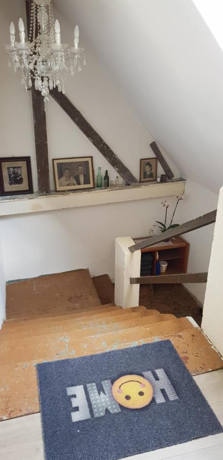 Ferienwohnung Salamander Pirna Luaran gambar
