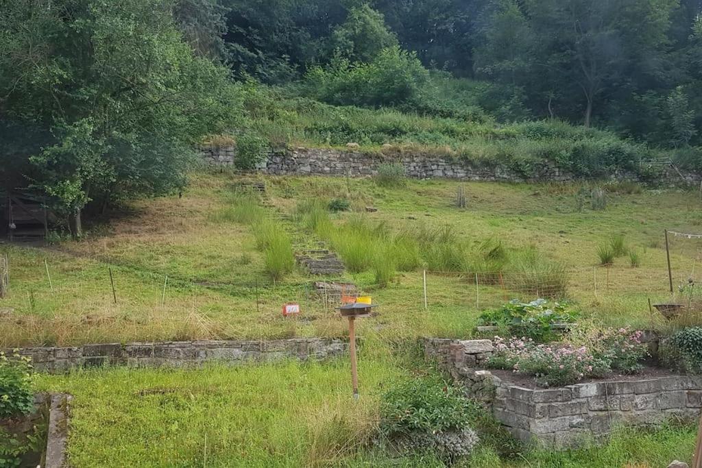 Ferienwohnung Salamander Pirna Luaran gambar