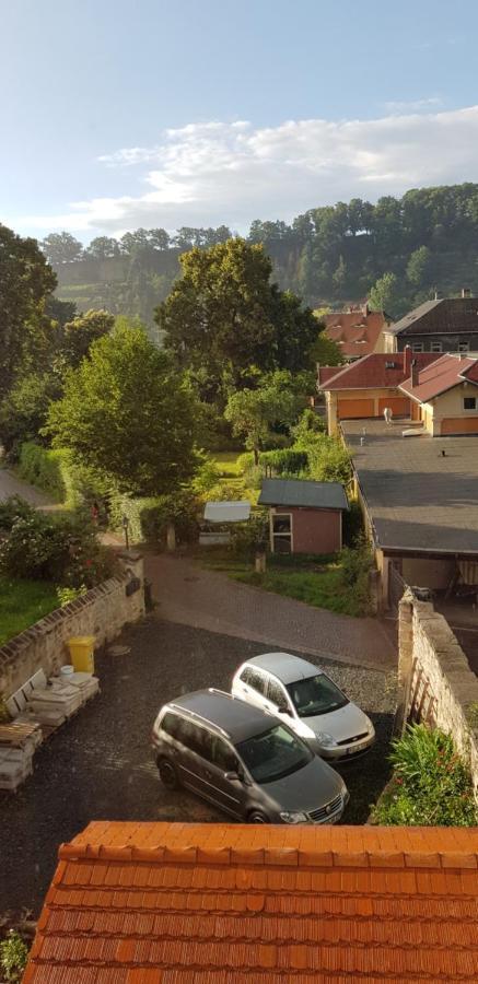 Ferienwohnung Salamander Pirna Luaran gambar